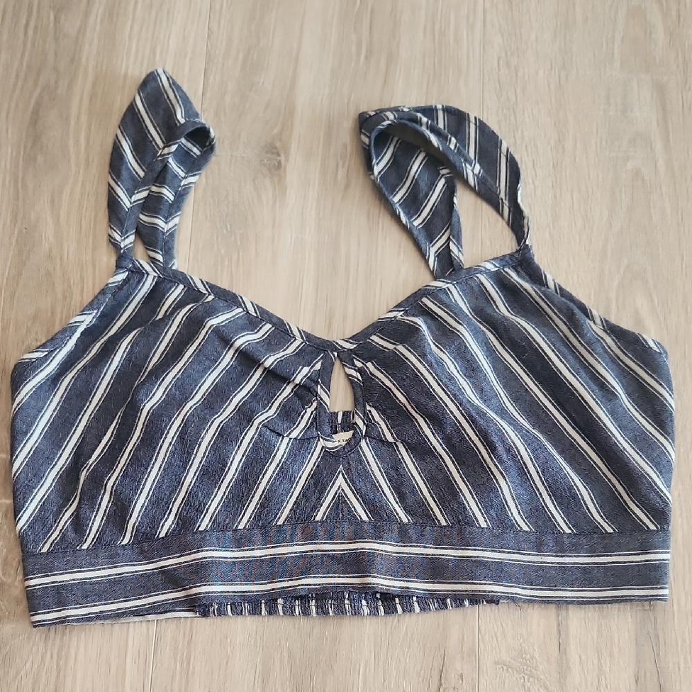 American Eagle Outfitters Blue and White Striped Crop Top